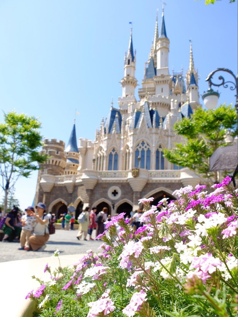 ディズニーランド営業再開