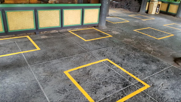 ディズニーランド営業再開