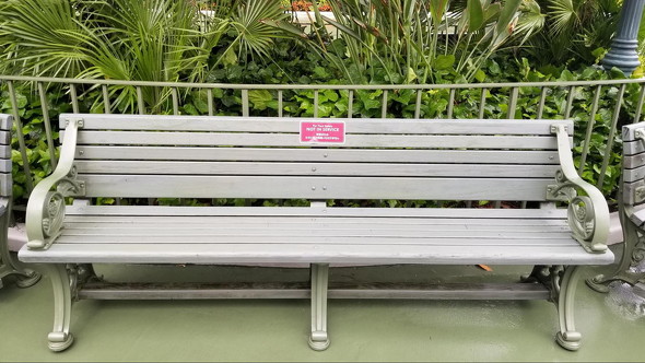 ディズニーランド営業再開