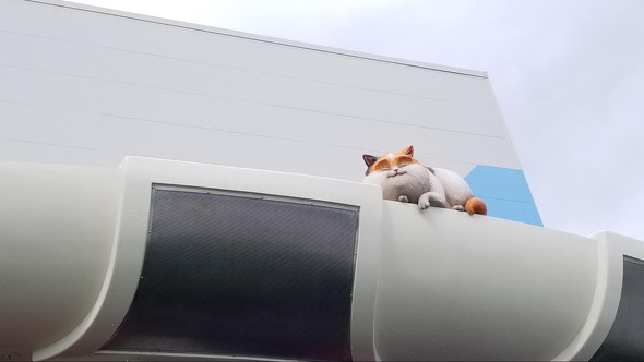 ディズニーランド営業再開