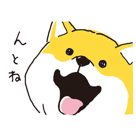 ウソヒャクパー1枚目