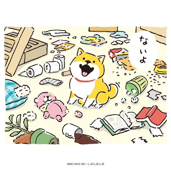 ウソヒャクパー4枚目