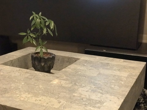 ひんやりきもちいネコちゃん