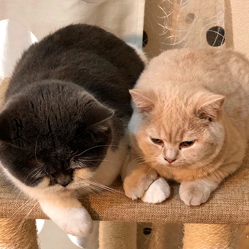 みかんとじろうさんち