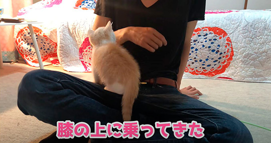 みかんとじろうさんち