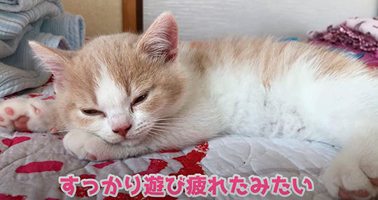 みかんとじろうさんち