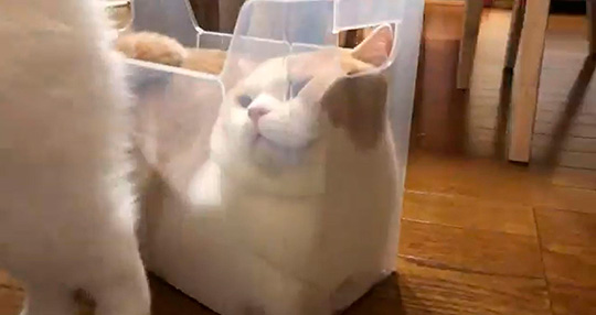 みかんとじろうさんち