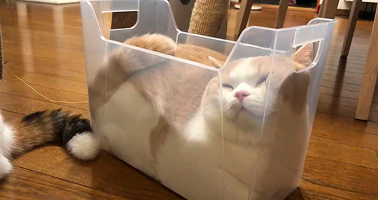 みかんとじろうさんち