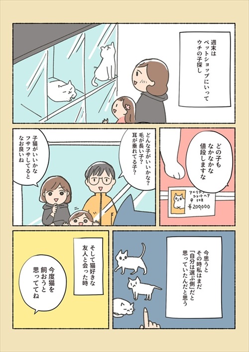 保護猫ちゃんを家に迎えるまでの話