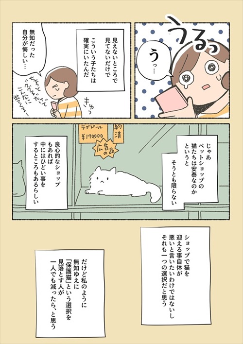 保護猫ちゃんを家に迎えるまでの話