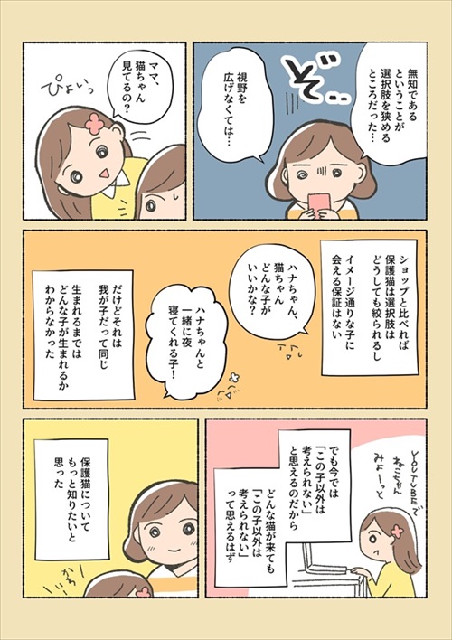 保護猫ちゃんを家に迎えるまでの話