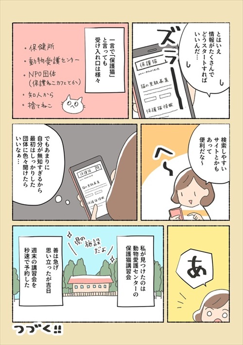 保護猫ちゃんを家に迎えるまでの話