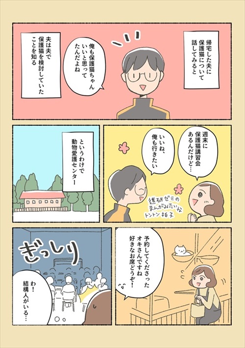 保護猫ちゃんを家に迎えるまでの話