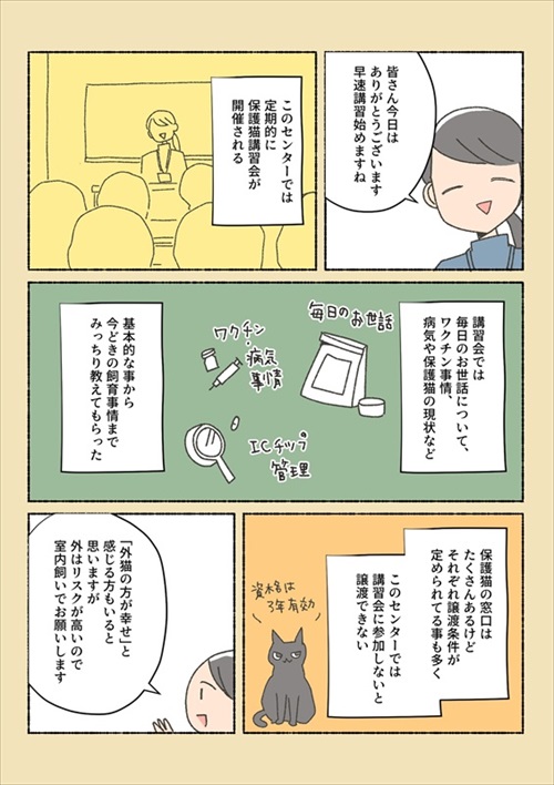 保護猫ちゃんを家に迎えるまでの話