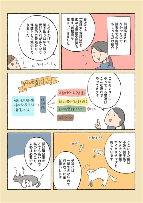 保護猫ちゃんを家に迎えるまでの話