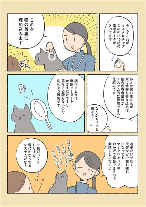 保護猫ちゃんを家に迎えるまでの話