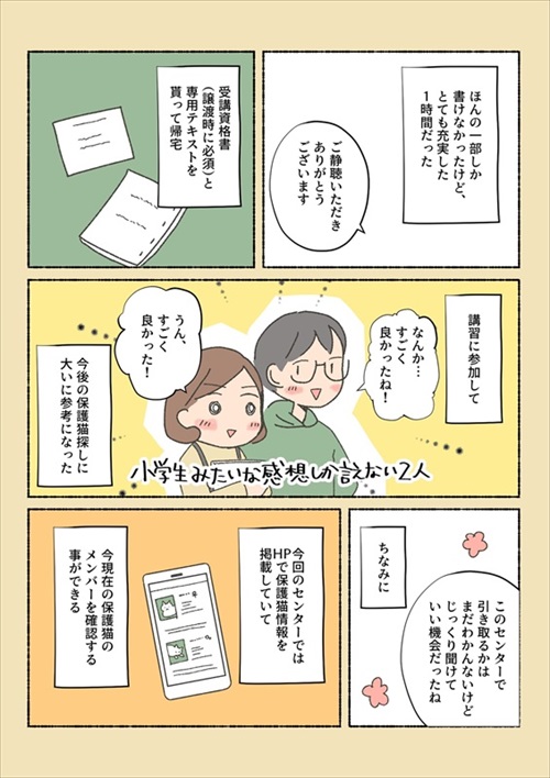 保護猫ちゃんを家に迎えるまでの話