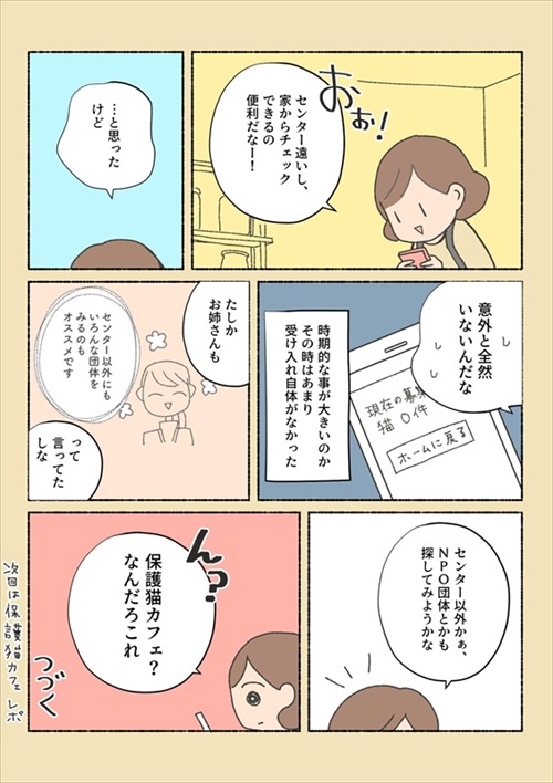 保護猫ちゃんを家に迎えるまでの話