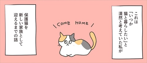 保護猫ちゃんを家に迎えるまでの話