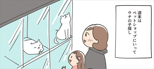 保護猫ちゃんを家に迎えるまでの話