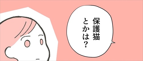 保護猫ちゃんを家に迎えるまでの話