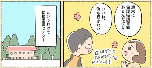 保護猫ちゃんを家に迎えるまでの話