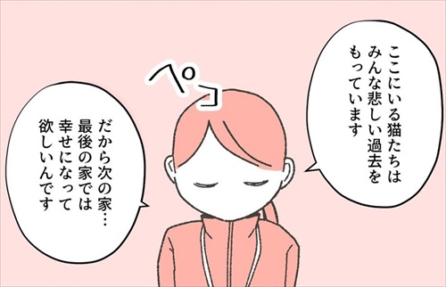 保護猫ちゃんを家に迎えるまでの話