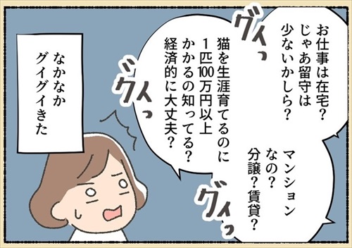 保護猫ちゃんを家に迎えるまでの話