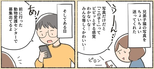 保護猫ちゃんを家に迎えるまでの話