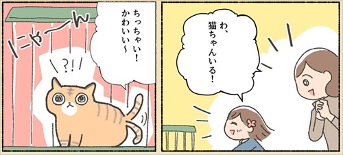 保護猫ちゃんを家に迎えるまでの話