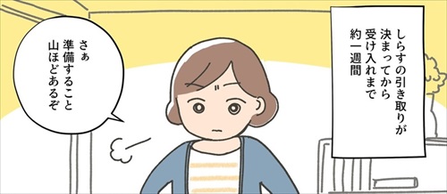 保護猫ちゃんを家に迎えるまでの話