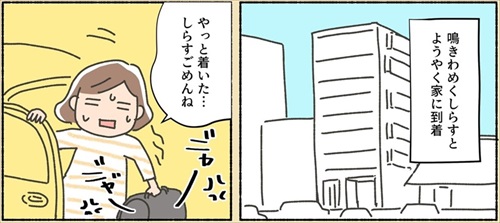 保護猫ちゃんを家に迎えるまでの話