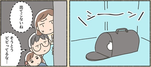 保護猫ちゃんを家に迎えるまでの話