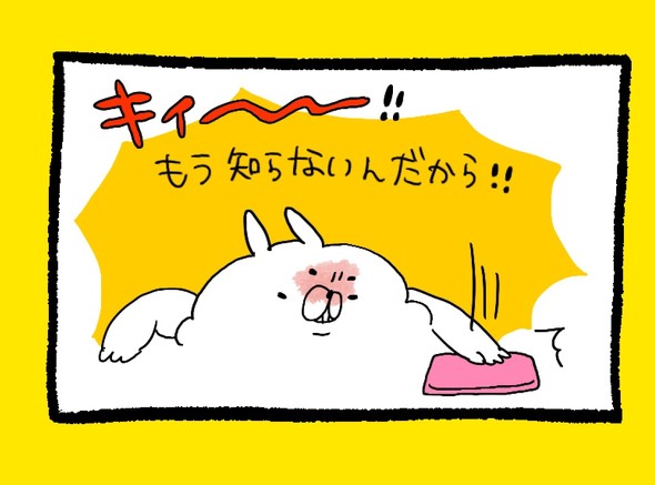 くまだよ