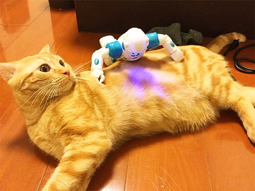 ペット手帳 ベストショット