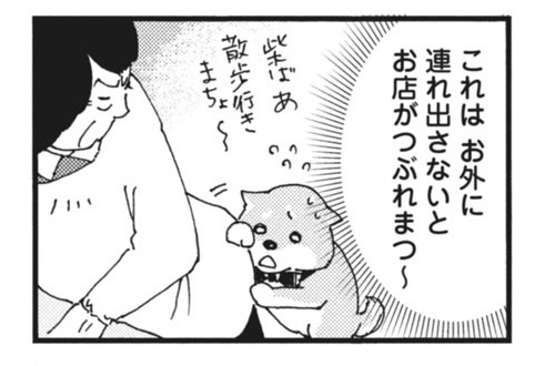 柴ばあと豆柴太