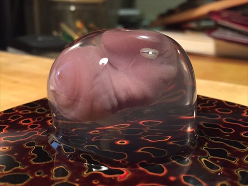 水まんじゅう 水信玄餅