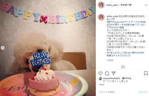 矢田亜希子 ペット 誕生日 きなこ もなか