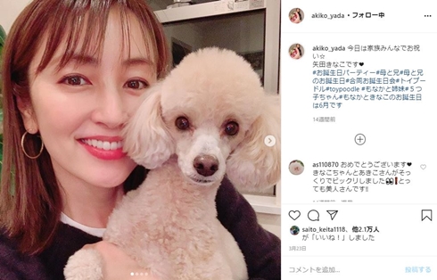 矢田亜希子 ペット 誕生日 きなこ もなか