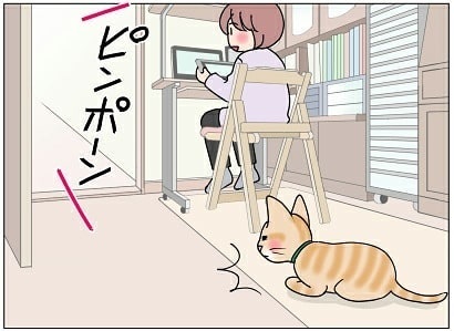 宅配便が怖い猫ちゃん
