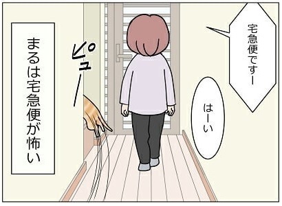 宅配便が怖い猫ちゃん