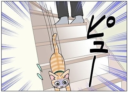 宅配便が怖い猫ちゃん