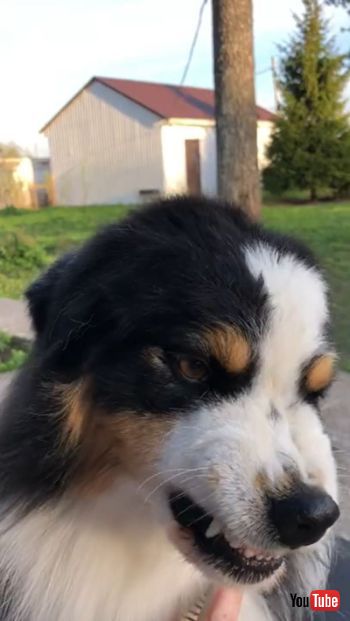 Doesn't Like the Combs