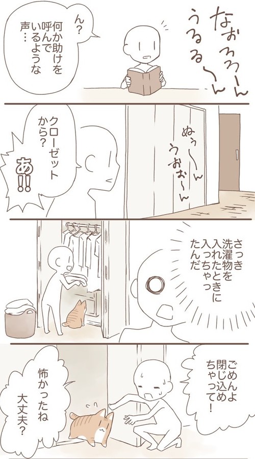 ぬこの話