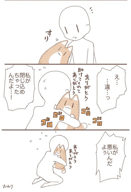 ぬこの話