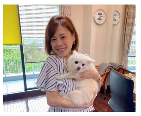 高橋真麻 高橋英樹 出産 復帰 バイキング 子供