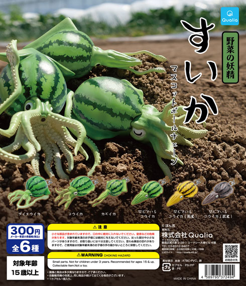 野菜園芸大百科　5　スイカ・カボチャ 野菜園芸大百科（5）スイカ・カボチャ 第2版