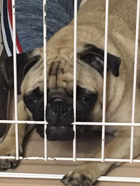 食い込むマヨくんアップ　くらめ