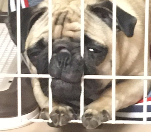 食い込むマヨくんアップ