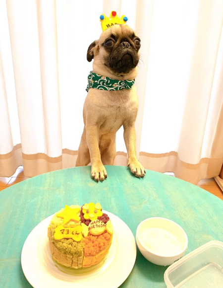 誕生日のマヨくん